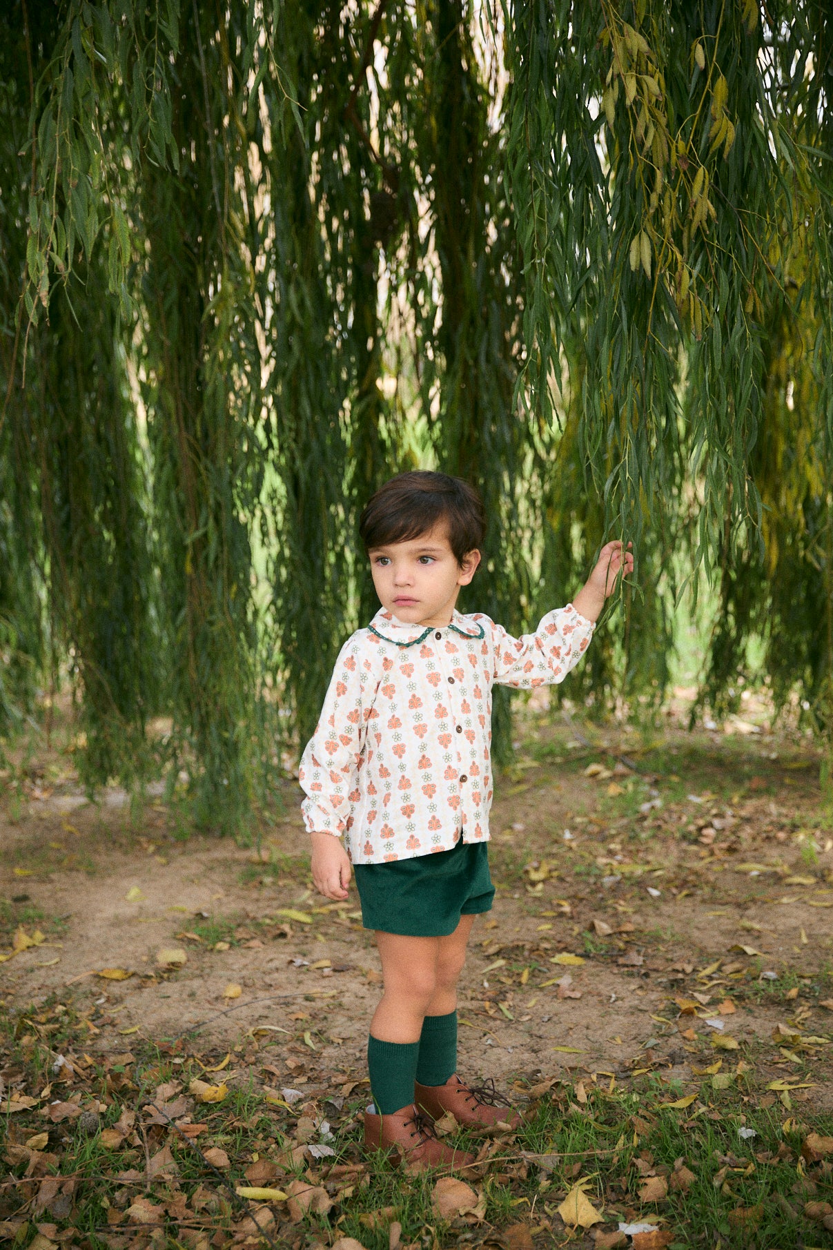Pantalón corto velvet Verde bebé