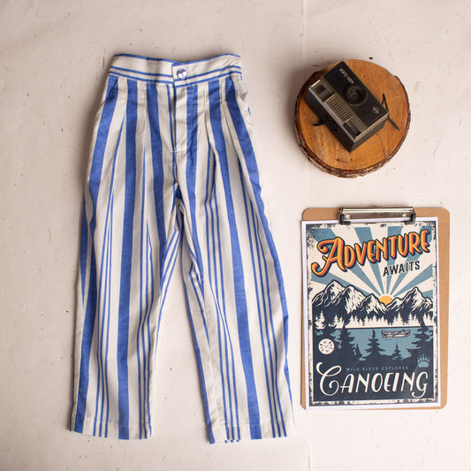 Deep blue stripe pleated trousers