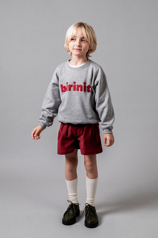 Sudadera Birinit grey niño