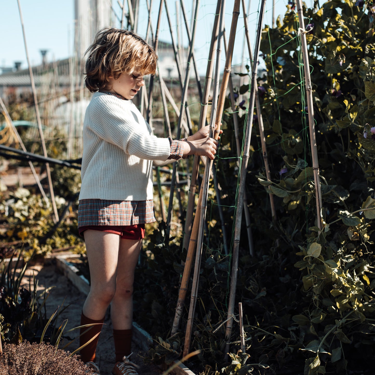 Cherry corduroy short