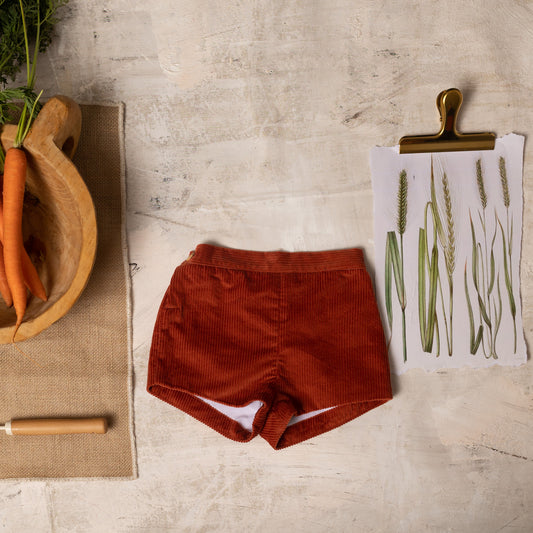 Bluish corduroy shorts