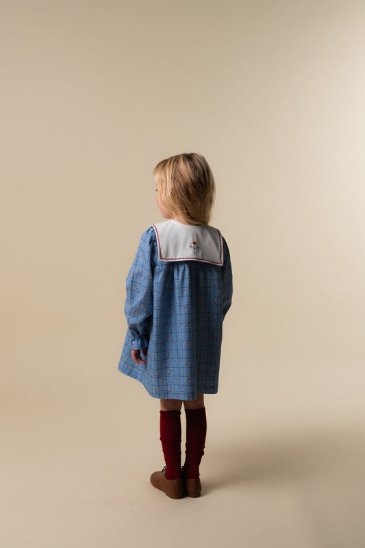 Vestido bordado Catherina